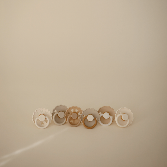 Frigg Pacifier Daisy - 6 Pack - Cinnamon Charm - Petit Filippe