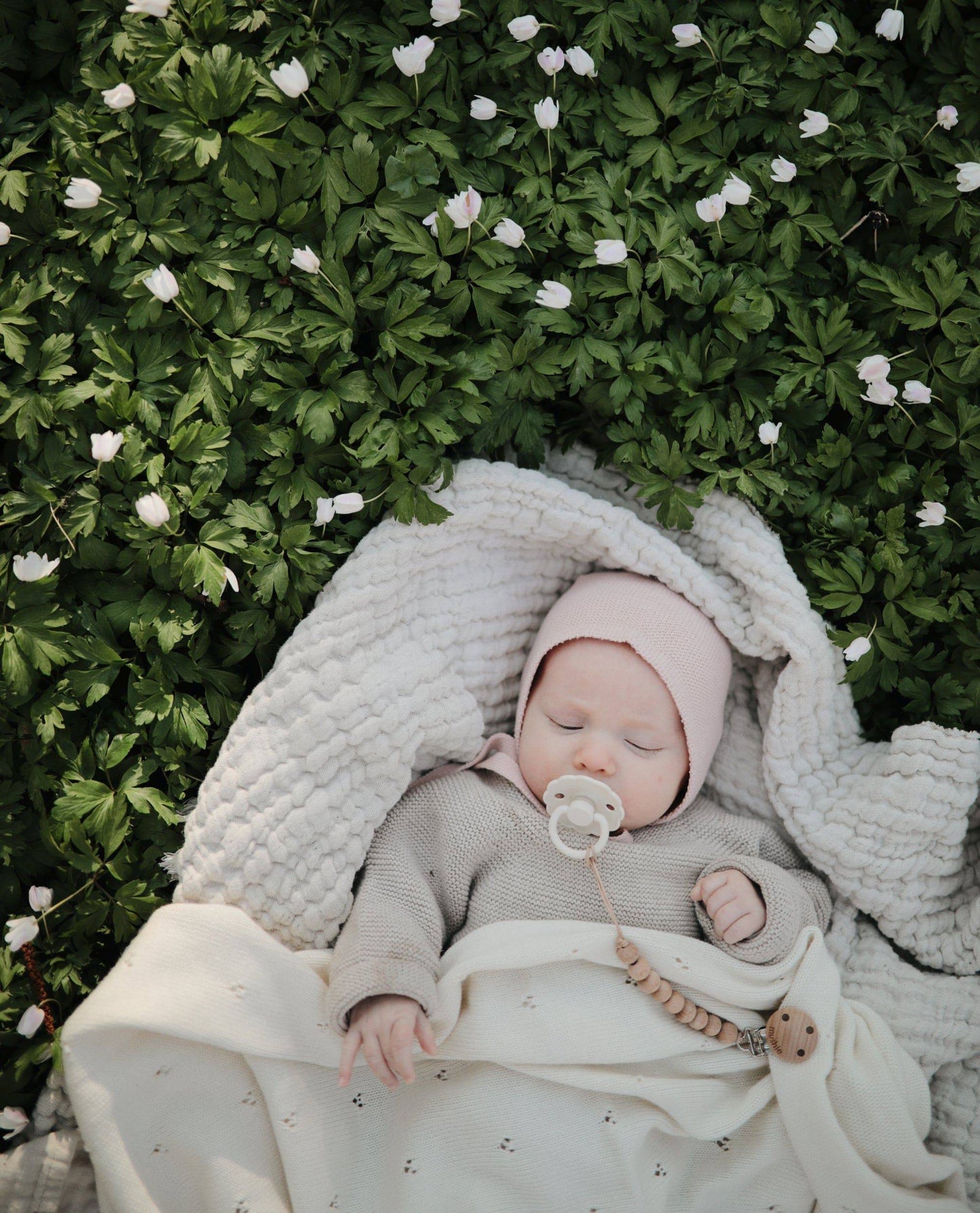 Frigg Pacifier Daisy - 2 Pack - Cream & Croissant - Petit Filippe