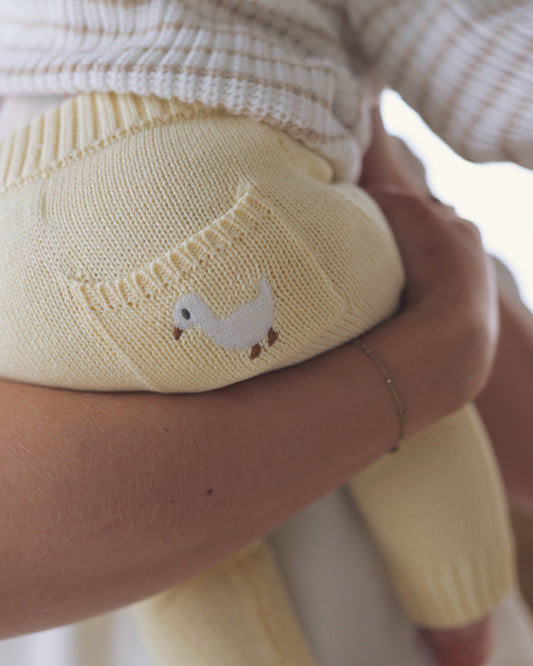 Knitted Pants - Cotton - Soft Yellow - Petit Filippe